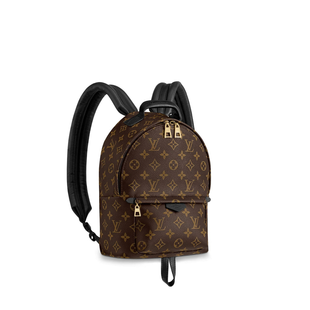 LOUIS VUITTON PALM SPRINGS BACKPACK PM