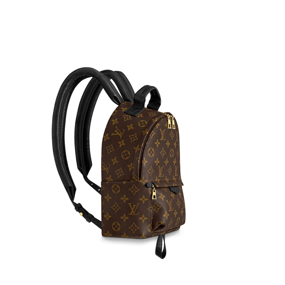 LOUIS VUITTON PALM SPRINGS BACKPACK PM